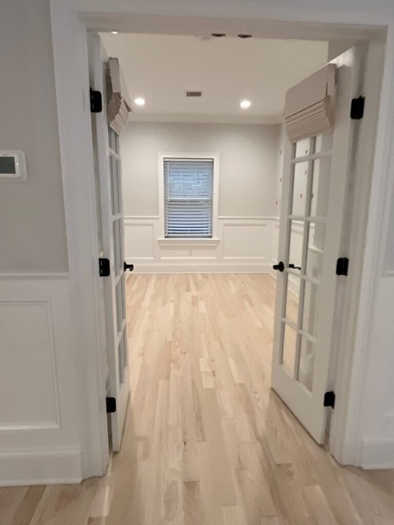 Mold Removal Services